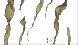 日韩精品亚洲电影天堂