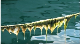 日韩精品亚洲电影天堂