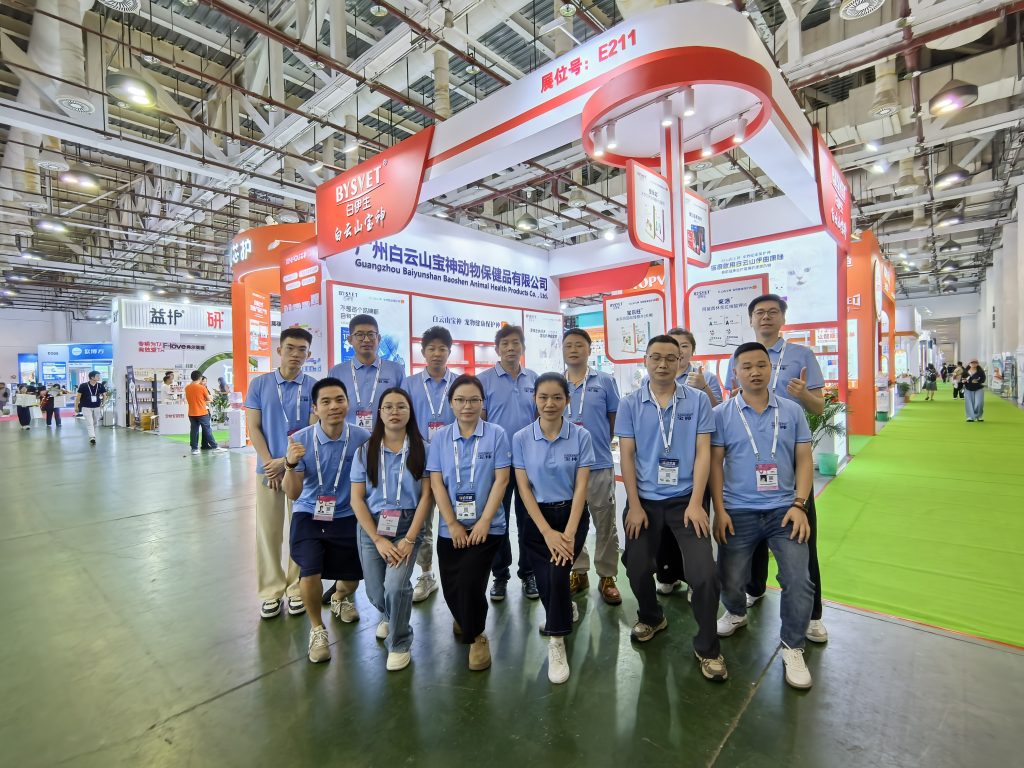 日韩精品亚洲电影天堂