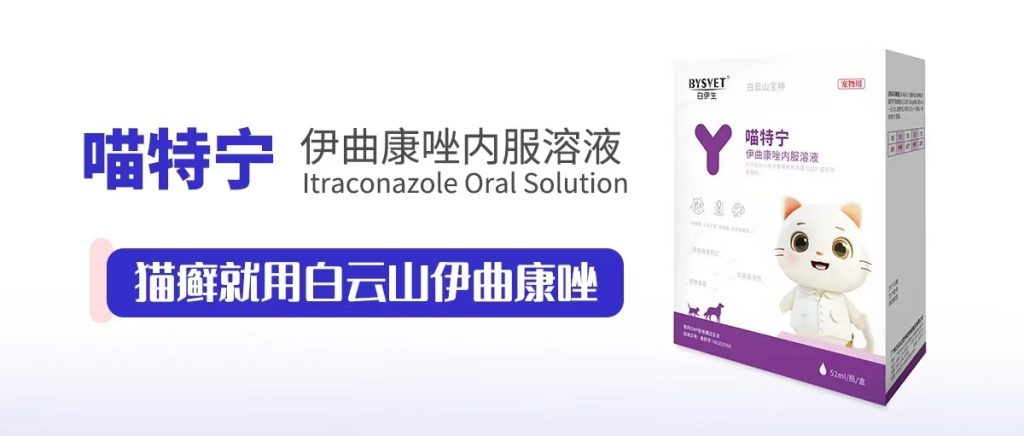 日韩精品亚洲电影天堂