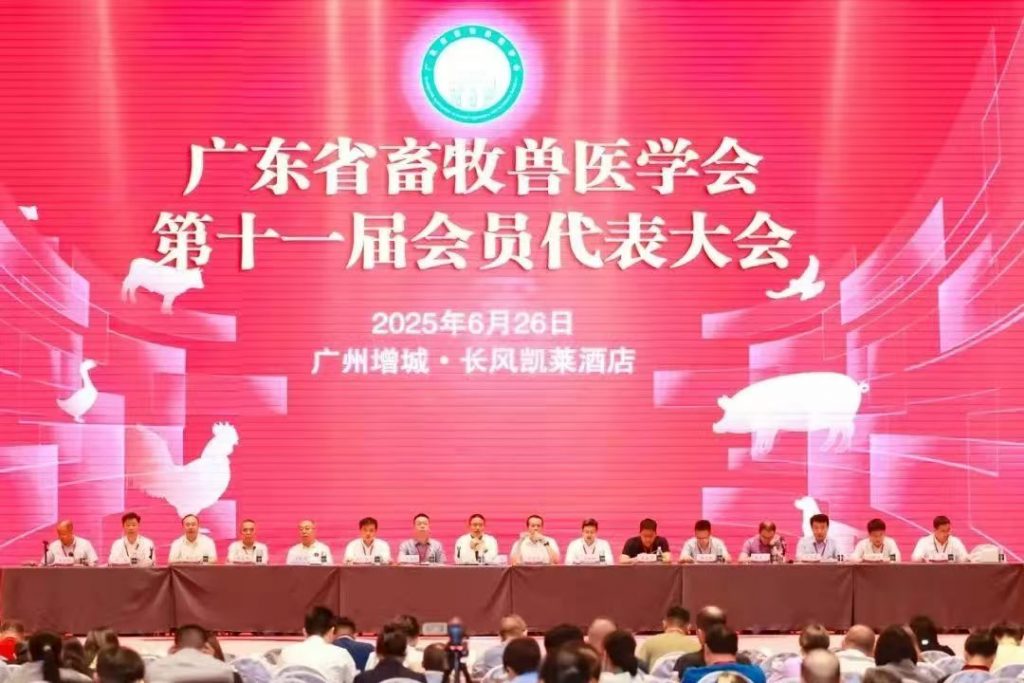 日韩精品亚洲电影天堂