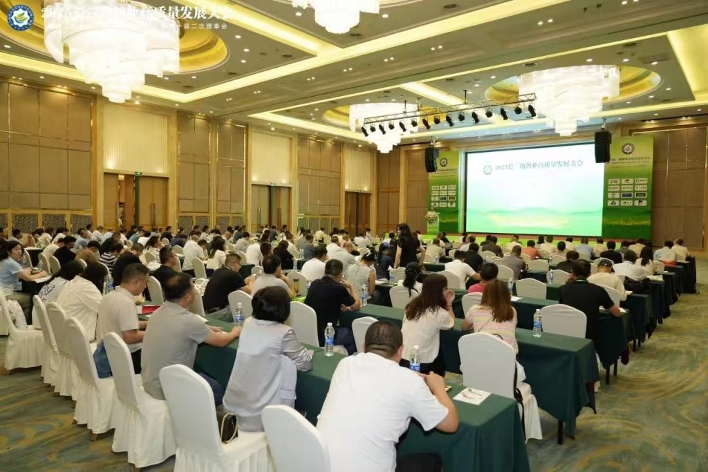 日韩精品亚洲电影天堂