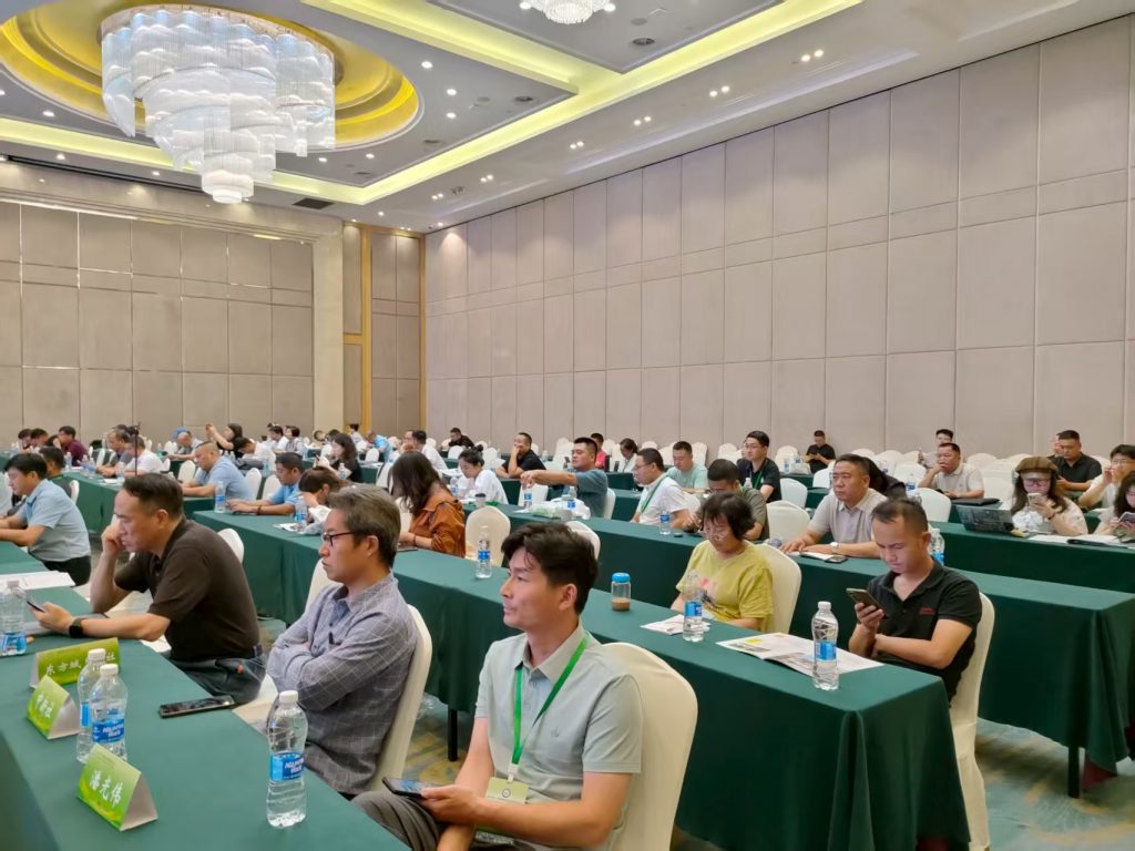 日韩精品亚洲电影天堂