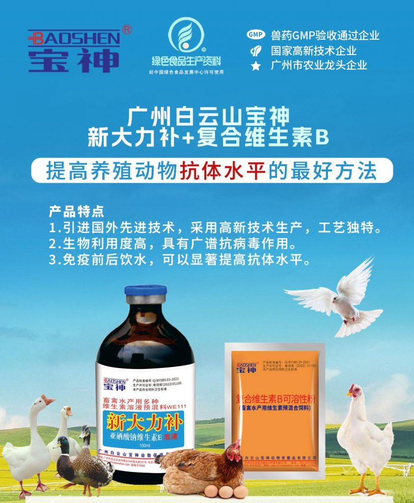 日韩精品亚洲电影天堂