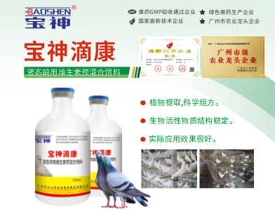 日韩精品亚洲电影天堂