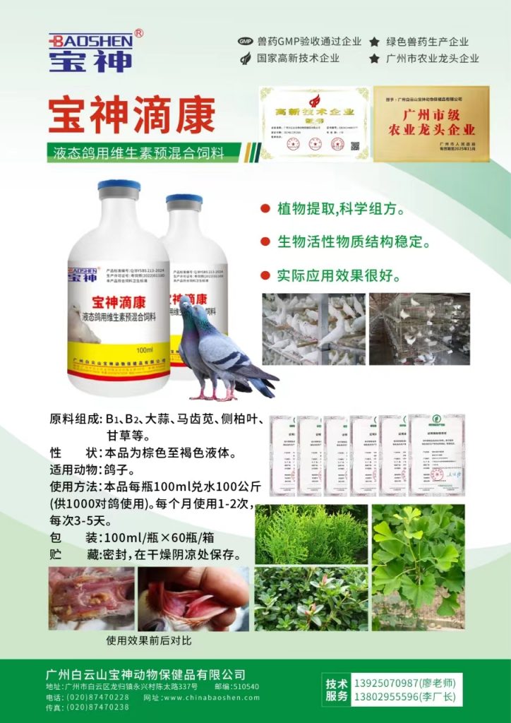 日韩精品亚洲电影天堂