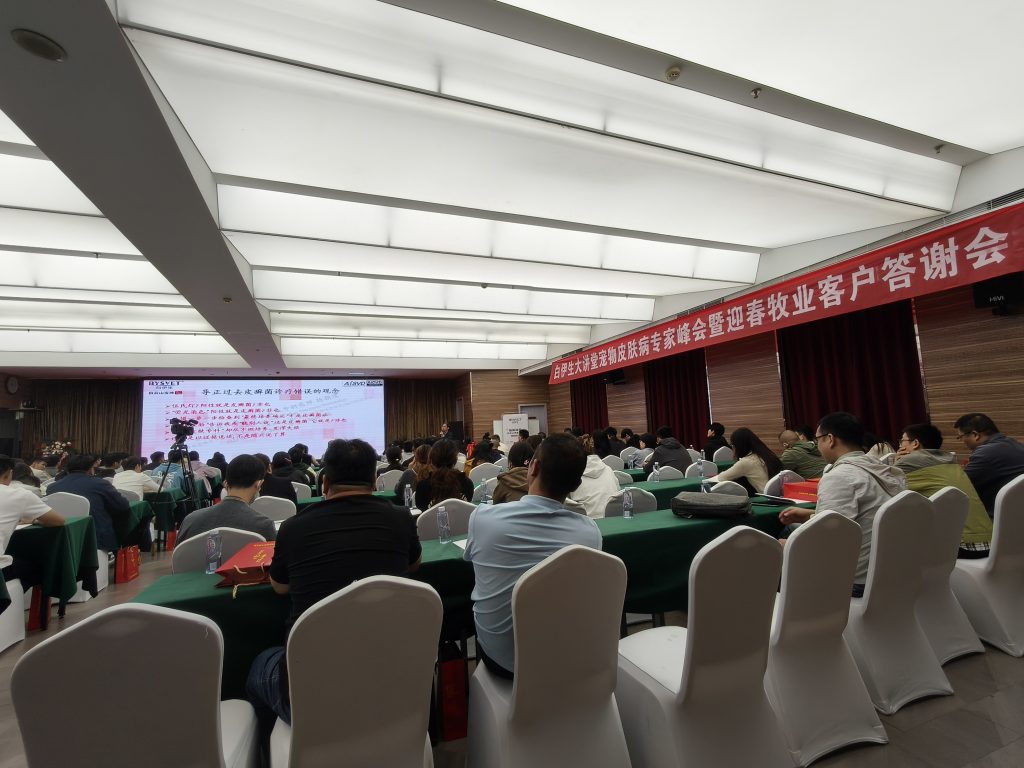 日韩精品亚洲电影天堂