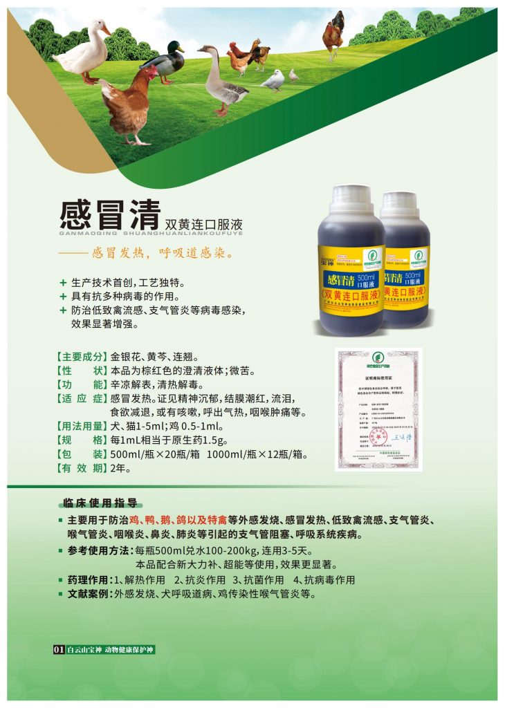 日韩精品亚洲电影天堂