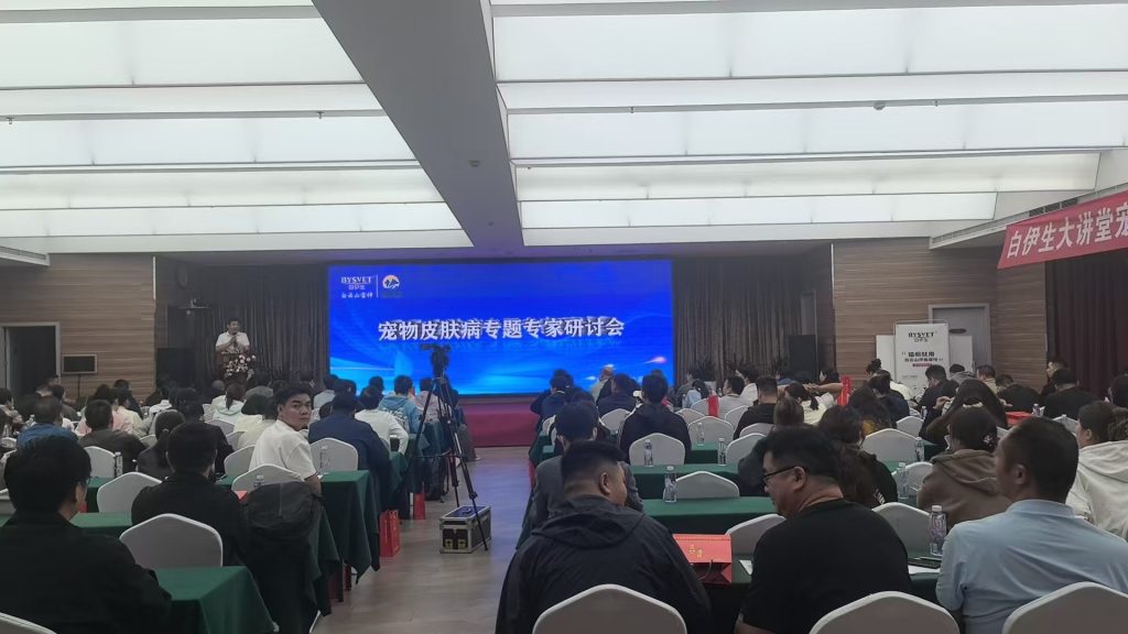 日韩精品亚洲电影天堂