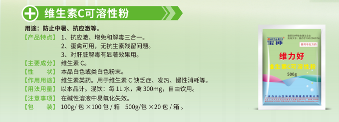 日韩精品亚洲电影天堂