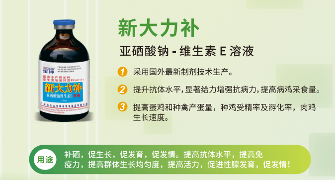 日韩精品亚洲电影天堂