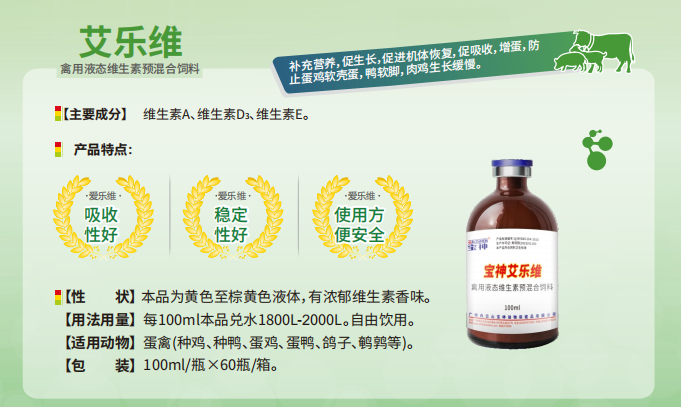 日韩精品亚洲电影天堂