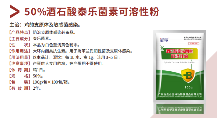 日韩精品亚洲电影天堂