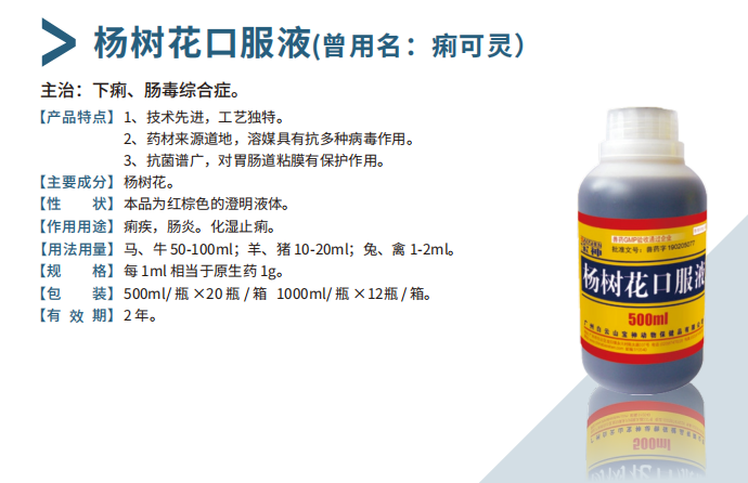 日韩精品亚洲电影天堂