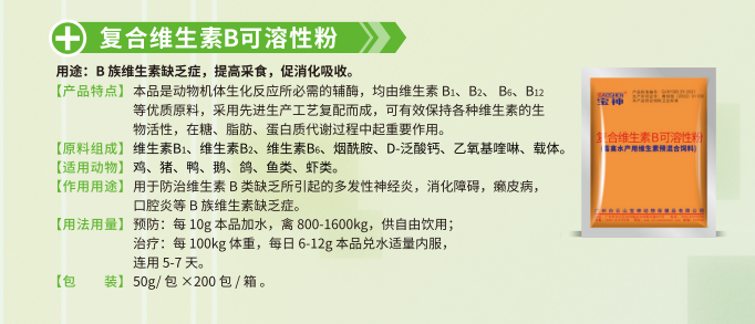 日韩精品亚洲电影天堂