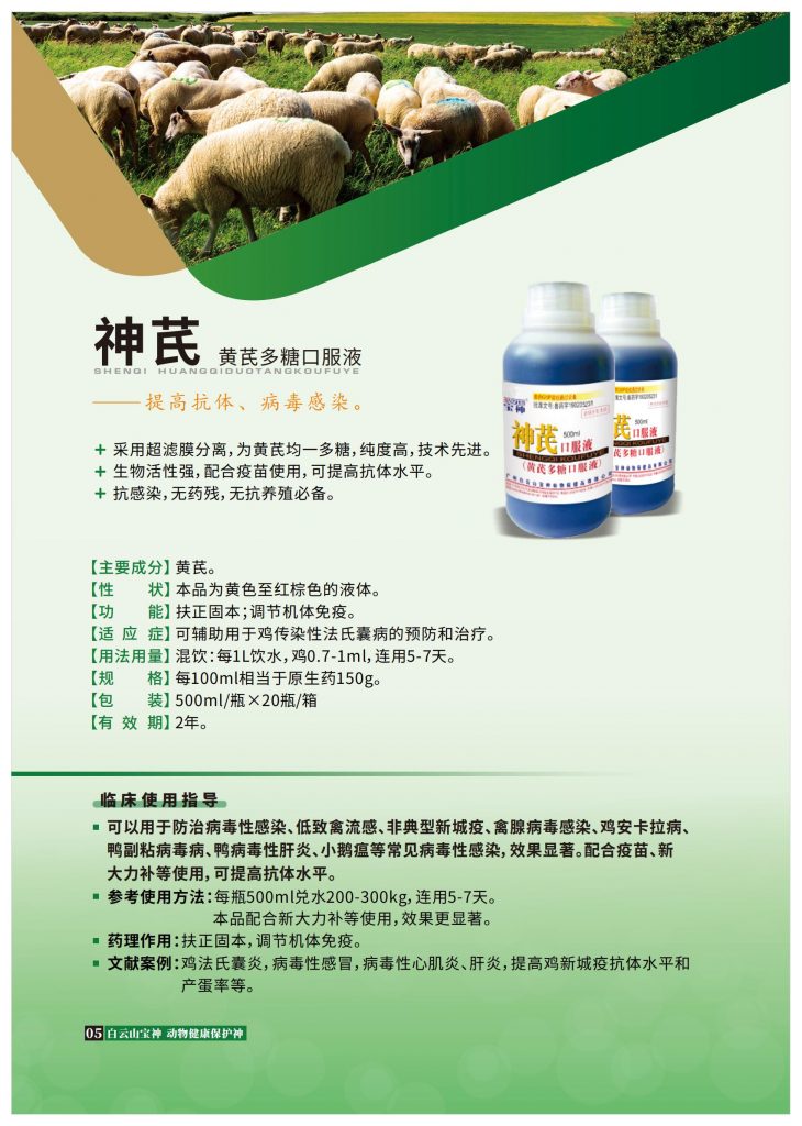 日韩精品亚洲电影天堂