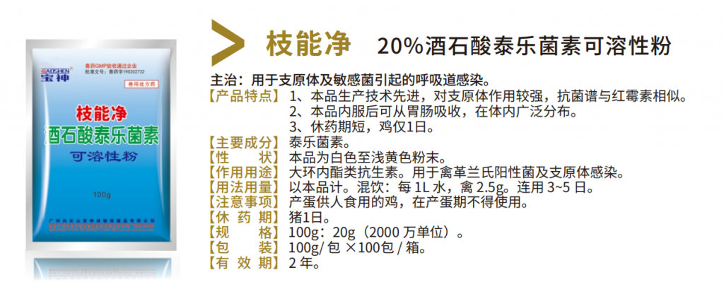 日韩精品亚洲电影天堂