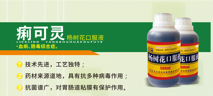 日韩精品亚洲电影天堂