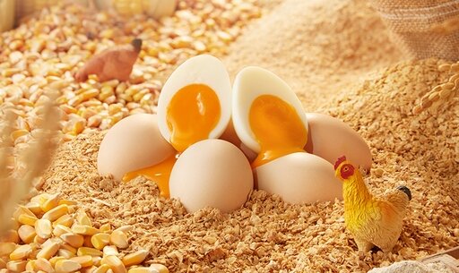 日韩精品亚洲电影天堂