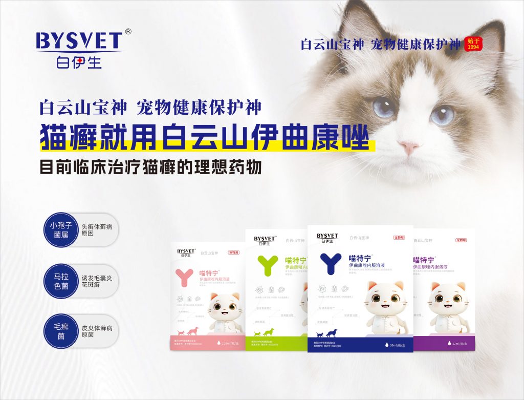 日韩精品亚洲电影天堂