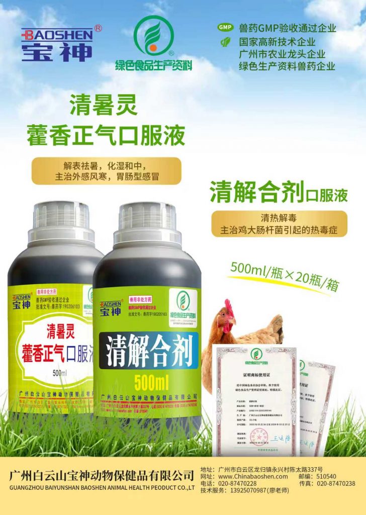 日韩精品亚洲电影天堂