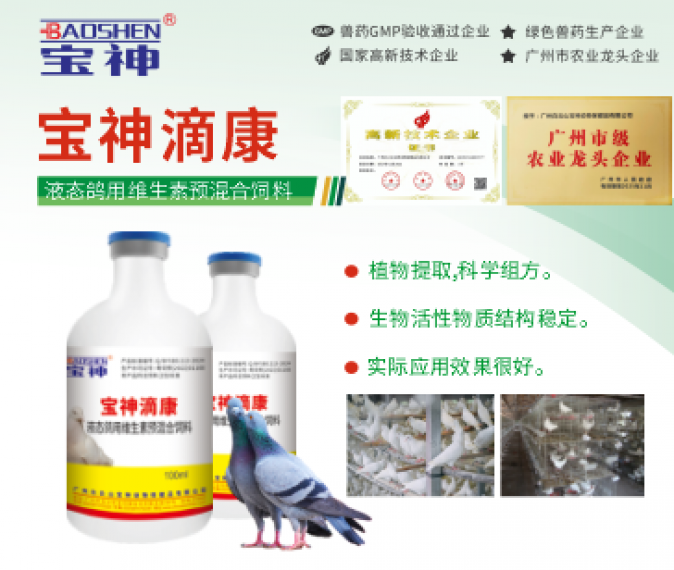 日韩精品亚洲电影天堂