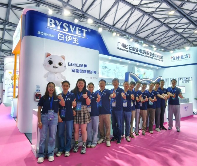 日韩精品亚洲电影天堂