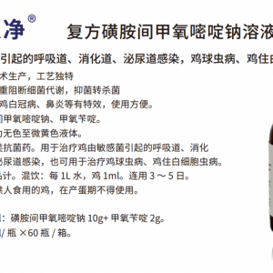 鸡、鸭传染性支气管炎、低致病性禽流感和大肠杆菌病混感防控
