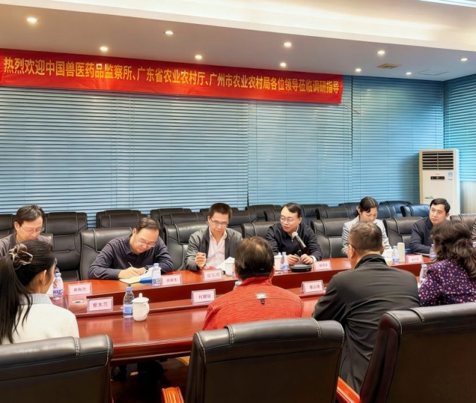 日韩精品亚洲电影天堂