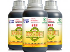 麻杏石甘口服液的化学组成、现代药理作用及在无抗养鸽业中的应用