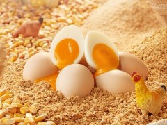 富硒鸡蛋：科学补硒的优质营养载体与健康价值