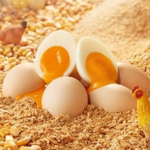 富硒鸡蛋：科学补硒的优质营养载体与健康价值